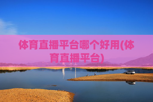 体育直播平台哪个好用(体育直播平台)