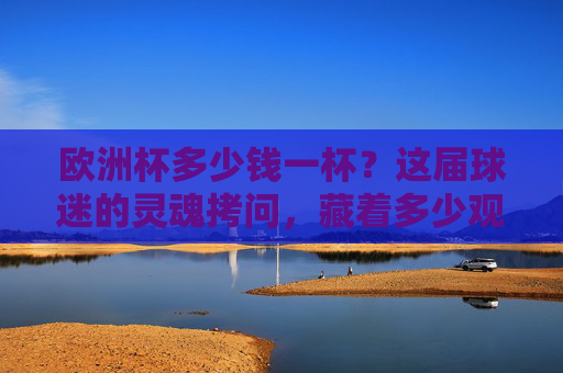 欧洲杯多少钱一杯？这届球迷的灵魂拷问，藏着多少观赛人的烟火气，欧洲杯一杯，球迷烟火几何