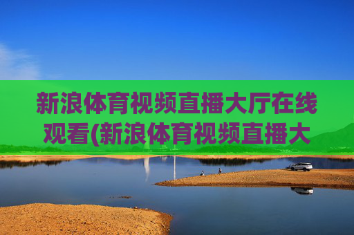 新浪体育视频直播大厅在线观看(新浪体育视频直播大厅在线观看免费)