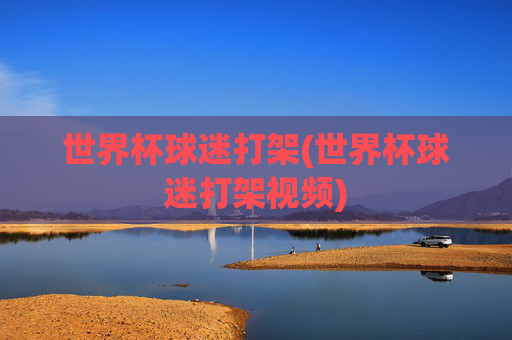 世界杯球迷打架(世界杯球迷打架视频)