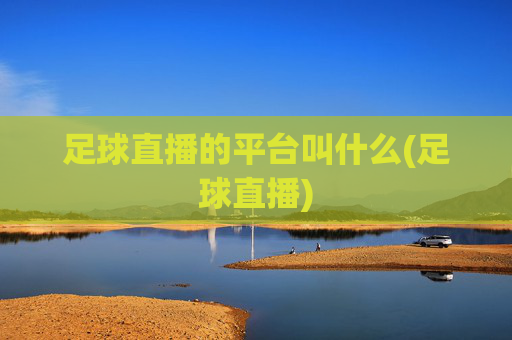 足球直播的平台叫什么(足球直播)