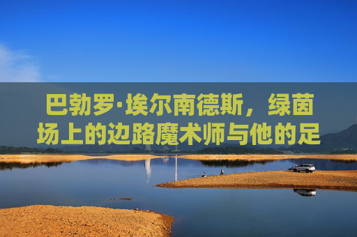 巴勃罗·埃尔南德斯，绿茵场上的边路魔术师与他的足球哲学，巴勃罗·埃尔南德斯，边路魔术师的足球哲学