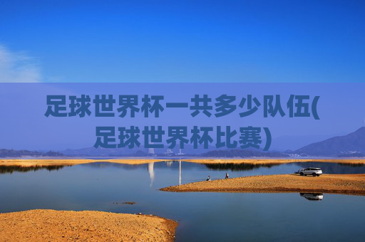 足球世界杯一共多少队伍(足球世界杯比赛)