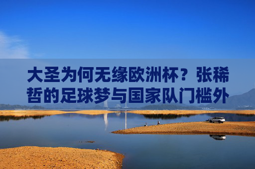 大圣为何无缘欧洲杯?张稀哲的足球梦与国家队门槛外的现实,大圣无缘欧洲杯,张稀哲的足球梦与国家队门槛外的现实