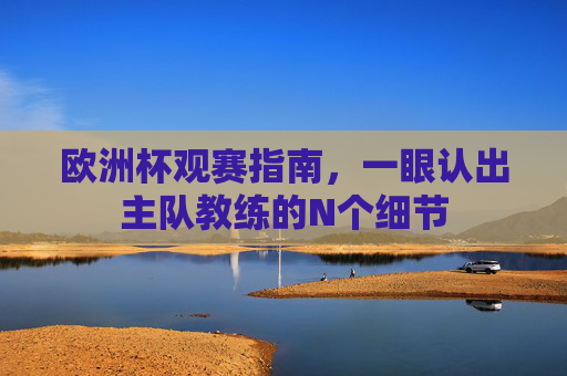欧洲杯观赛指南,一眼认出主队教练的N个细节