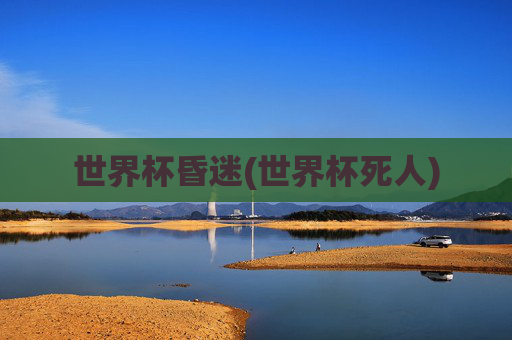 世界杯昏迷(世界杯死人)
