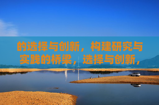 的选择与创新,构建研究与实践的桥梁,选择与创新,构建研究与实践的桥梁