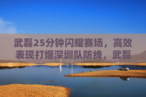 武磊25分钟闪耀赛场，高效表现打爆深圳队防线，武磊25分钟高效闪耀，打爆深圳防线