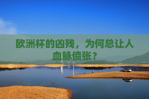 欧洲杯的凶残,为何总让人血脉偾张?