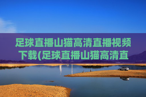 足球直播山猫高清直播视频下载(足球直播山猫高清直播视频下载安装)