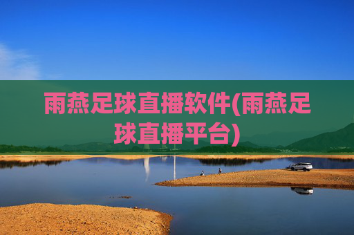 雨燕足球直播软件(雨燕足球直播平台)