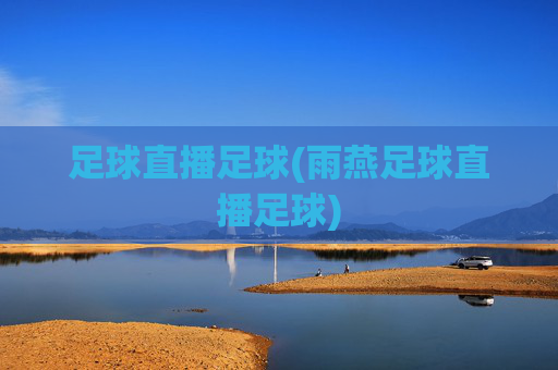 足球直播足球(雨燕足球直播足球)