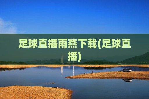 足球直播雨燕下载(足球直播)
