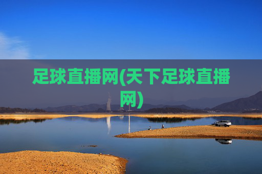 足球直播网(天下足球直播网)