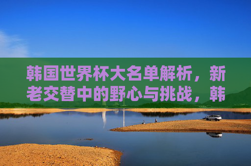 韩国世界杯大名单解析，新老交替中的野心与挑战，韩国世界杯大名单，新老交替中的野心与挑战