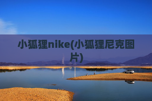 小狐狸nike(小狐狸尼克图片)