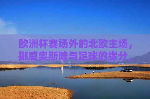 欧洲杯赛场外的北欧主场,挪威奥斯陆与足球的缘分,欧洲杯场外,奥斯陆的北欧足球缘分