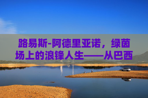 路易斯-阿德里亚诺，绿茵场上的浪锋人生——从巴西天才到世界舞台的漂泊与锋芒，路易斯-阿德里亚诺，浪锋漂泊路，天才锋芒照