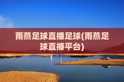 雨燕足球直播足球(雨燕足球直播平台)