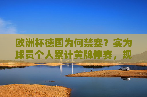 欧洲杯德国为何禁赛?实为球员个人累计黄牌停赛,规则下的必然结果,欧洲杯德国禁赛,球员累计黄牌停赛,规则下的必然结果