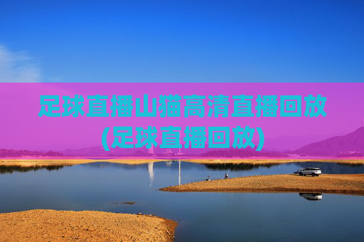 足球直播山猫高清直播回放(足球直播回放)