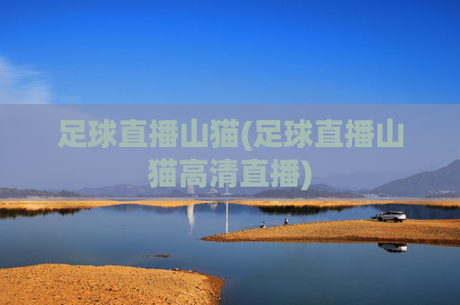 足球直播山猫(足球直播山猫高清直播)