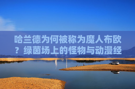 哈兰德为何被称为魔人布欧？绿茵场上的怪物与动漫经典的奇妙共鸣，绿茵场魔人布欧，哈兰德与动漫经典的球场共鸣