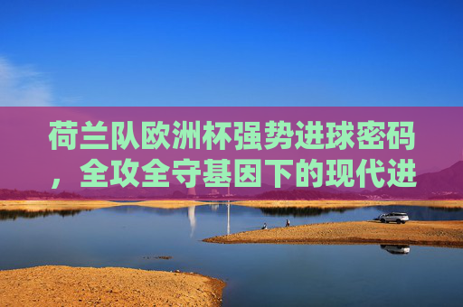 荷兰队欧洲杯强势进球密码，全攻全守基因下的现代进攻风暴，荷兰欧洲杯密码，全攻全守基因引爆现代进攻风暴