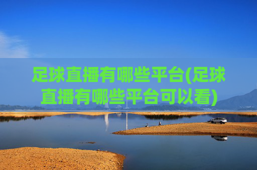 足球直播有哪些平台(足球直播有哪些平台可以看)