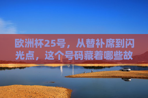 欧洲杯25号,从替补席到闪光点,这个号码藏着哪些故事?欧洲杯25号,替补席到闪光点的故事