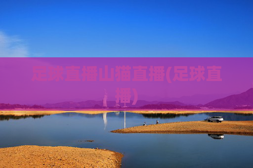 足球直播山猫直播(足球直播)
