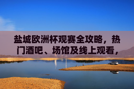 盐城欧洲杯观赛全攻略,热门酒吧、场馆及线上观看,助你嗨翻夏夜!盐城欧洲杯观赛全攻略,酒吧、场馆、线上看球,嗨翻夏夜!