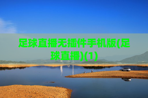 足球直播无插件手机版(足球直播)(1)