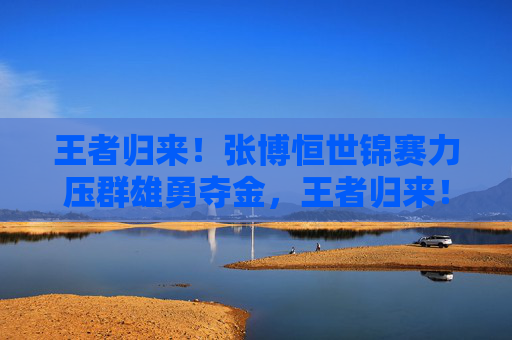 王者归来!张博恒世锦赛力压群雄勇夺金,王者归来!张博恒世锦赛勇夺金