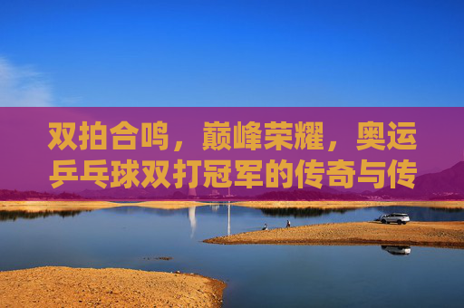 双拍合鸣,巅峰荣耀,奥运乒乓球双打冠军的传奇与传承