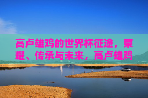 高卢雄鸡的世界杯征途,荣耀、传承与未来,高卢雄鸡的世界杯征途,荣耀、传承与未来