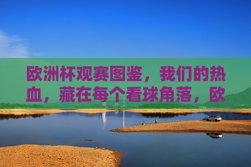 欧洲杯观赛图鉴,我们的热血,藏在每个看球角落,欧洲杯观赛图鉴,每个角落,都有我们的热血