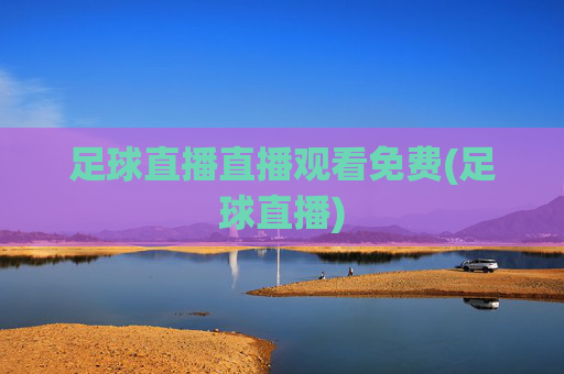 足球直播直播观看免费(足球直播)