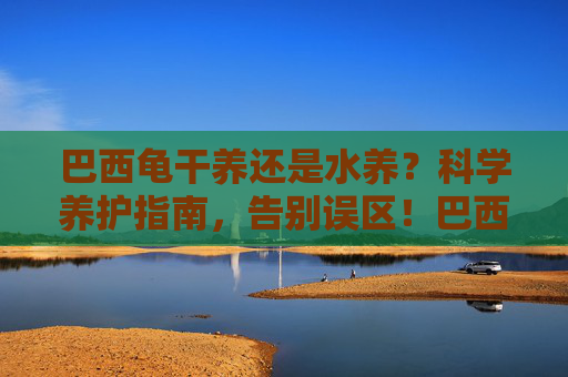 巴西龟干养还是水养?科学养护指南,告别误区!巴西龟干养还是水养,科学养护指南,告别误区
