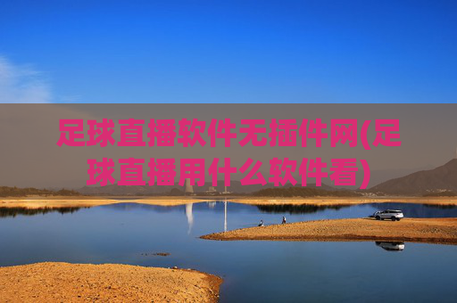 足球直播软件无插件网(足球直播用什么软件看)