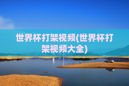 世界杯打架视频(世界杯打架视频大全)