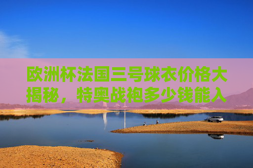 欧洲杯法国三号球衣价格大揭秘,特奥战袍多少钱能入手?欧洲杯法国三号球衣价格大揭秘,特奥战袍入手价