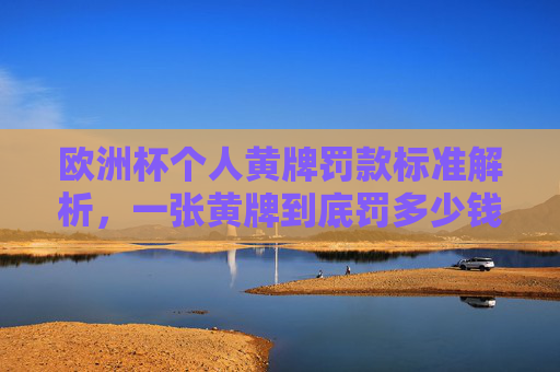 欧洲杯个人黄牌罚款标准解析,一张黄牌到底罚多少钱?欧洲杯个人黄牌罚款标准解析,一张黄牌罚多少钱?