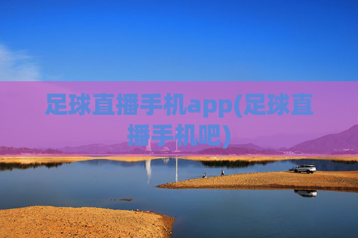 足球直播手机app(足球直播手机吧)