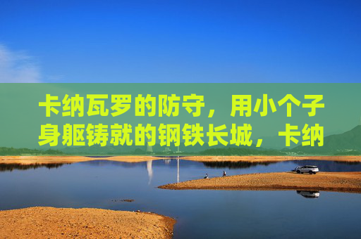 卡纳瓦罗的防守,用小个子身躯铸就的钢铁长城,卡纳瓦罗,小个子身躯铸就钢铁长城