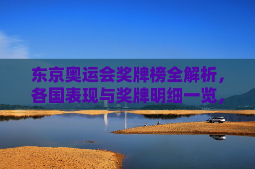 东京奥运会奖牌榜全解析,各国表现与奖牌明细一览,东京奥运会奖牌榜全解析,各国表现与奖牌明细