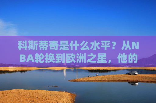科斯蒂奇是什么水平?从NBA轮换到欧洲之星,他的职业生涯有多全面?科斯蒂奇,从NBA轮换到欧洲之星的全面生涯