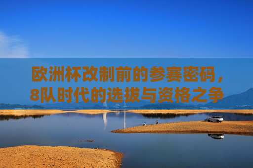 欧洲杯改制前的参赛密码,8队时代的选拔与资格之争,欧洲杯改制前,8队时代的选拔密码与资格之争