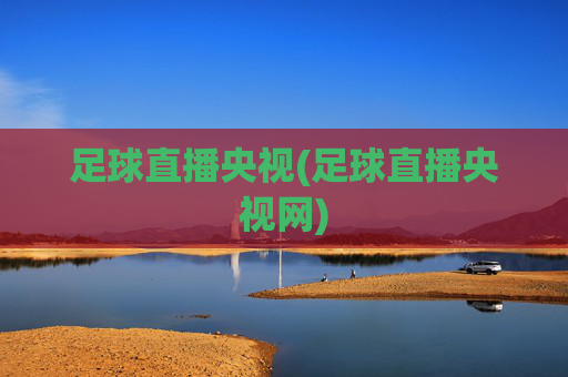 足球直播央视(足球直播央视网)