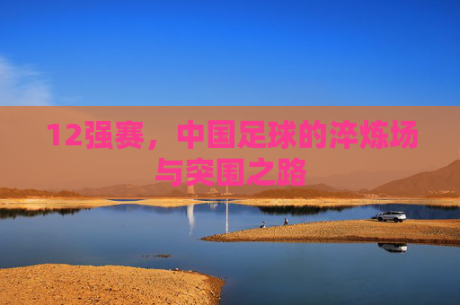 12强赛,中国足球的淬炼场与突围之路